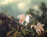 Martin Johnson Heade Jungle Orchids and Hummingbirds painting